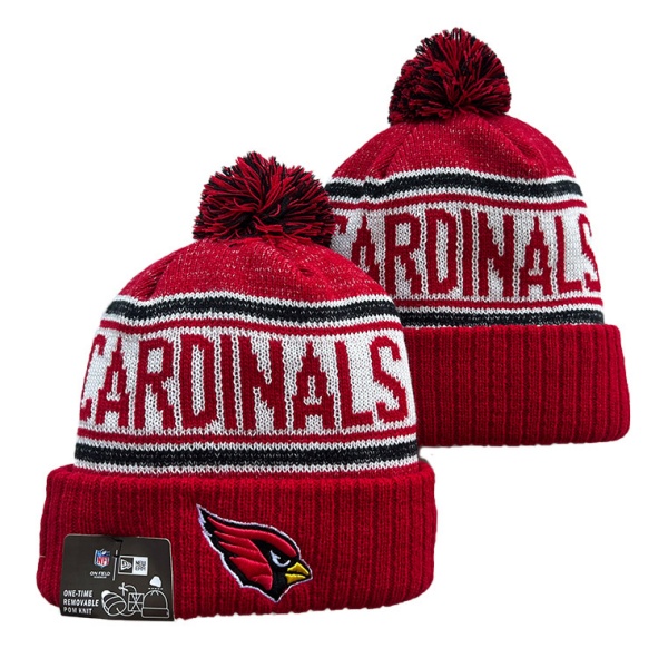 NFL Beanies(1)-0139