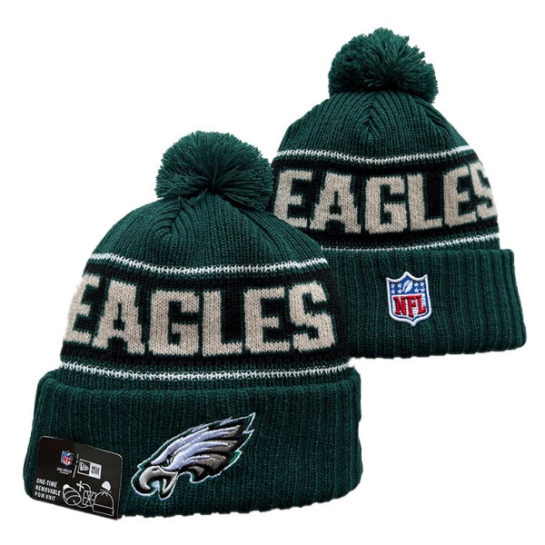 NFL Beanies(1)-0164