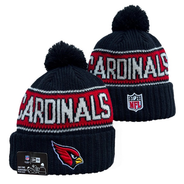 NFL Beanies(1)-0179