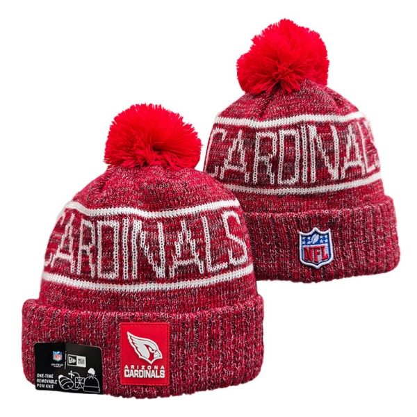 NFL Beanies(1)-0302