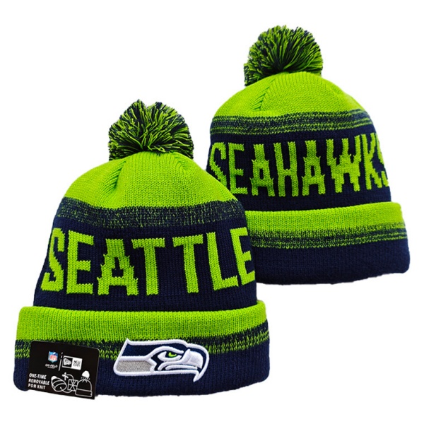 NFL Beanies(1)-0383