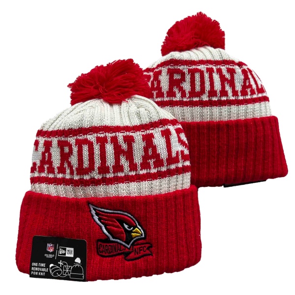 NFL Beanies(1)-0049