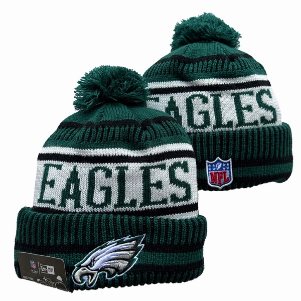 NFL Beanies(1)-0081