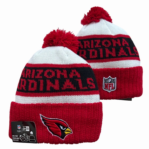 NFL Beanies(1)-0089