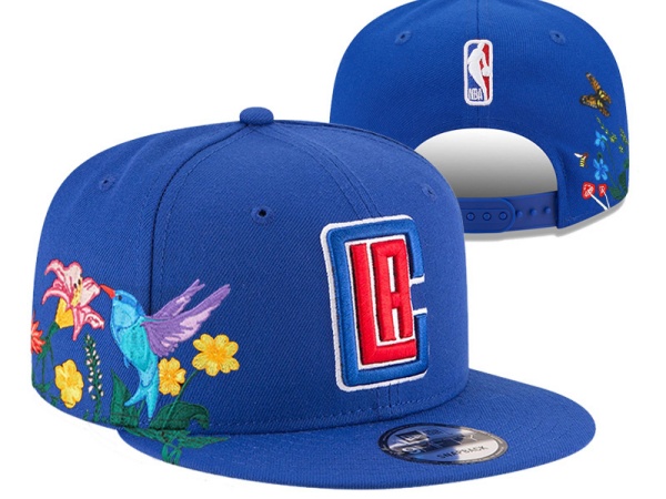 NBA Snapbacks(1)-0010