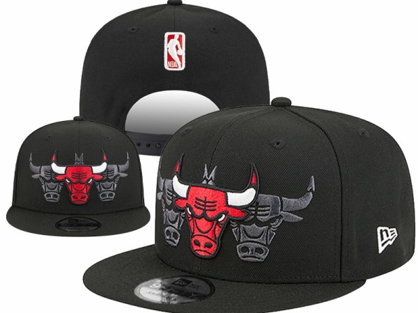 NBA Snapbacks(1)-0027