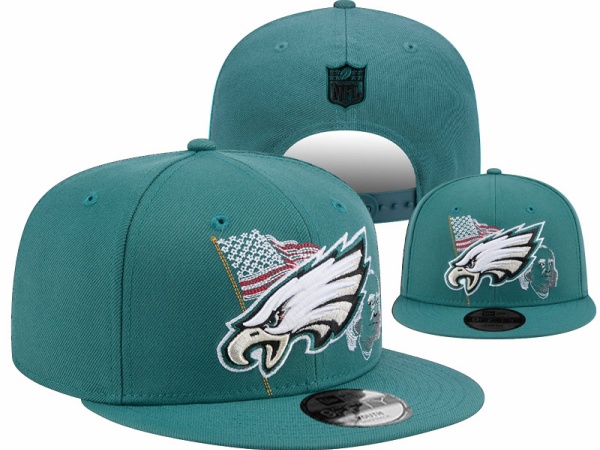 NFL Snapbacks(1)-0138