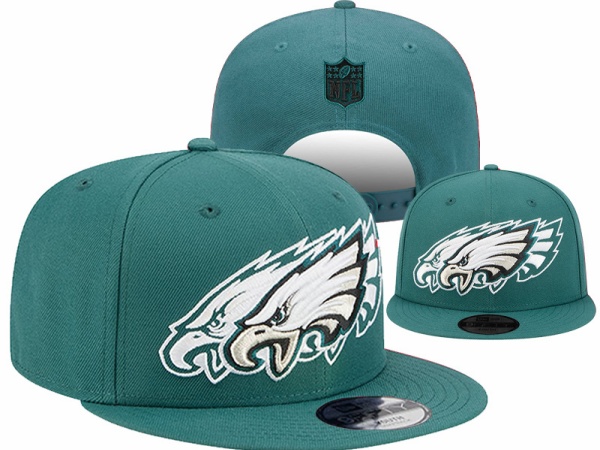 NFL Snapbacks(1)-0140