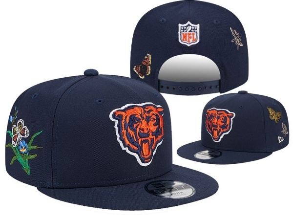 NFL Snapbacks(1)-0213