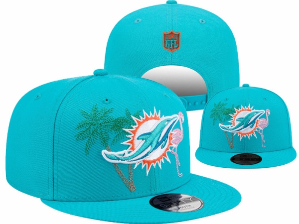 NFL Snapbacks(1)-0246