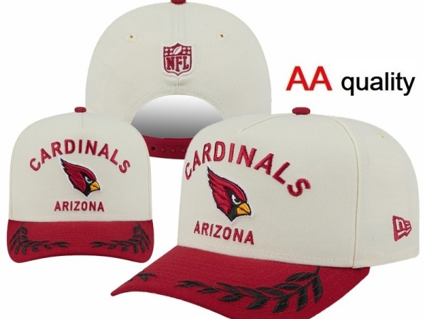 NFL Snapbacks(1)-0270