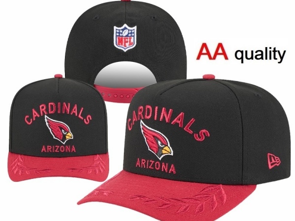 NFL Snapbacks(1)-0271