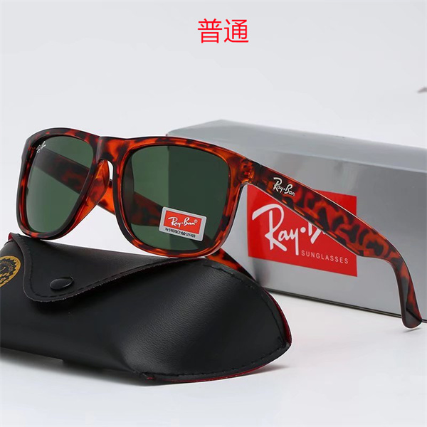Ray.Ban-Sunglass-0207