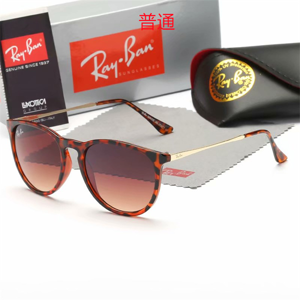 Ray.Ban-Sunglass-0213