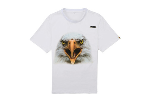 NFL T-shirt-M(10)-263