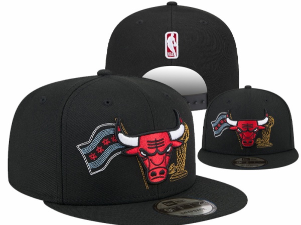 NBA Snapbacks(1)-0027