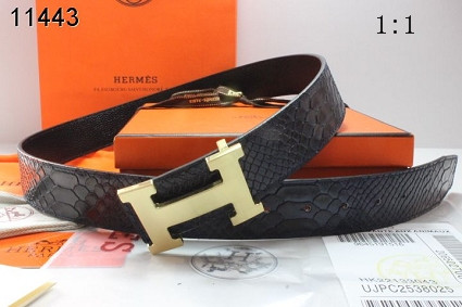 Hermes 1:1 Belts-240