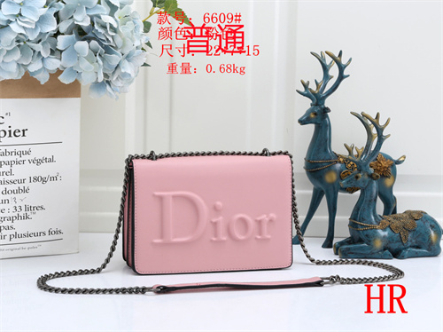 Dior small bag-0009
