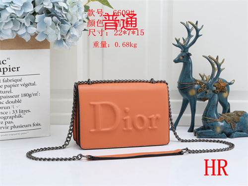 Dior small bag-0012