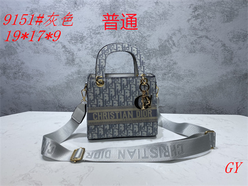 Dior small bag-0015