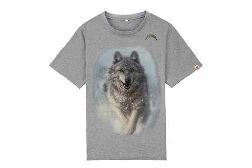 NFL T-shirt-M(10)-287