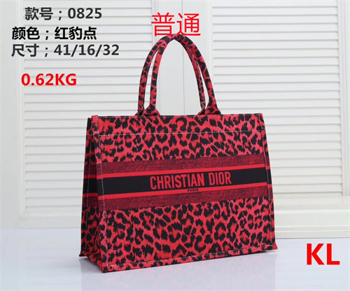 Dior bag-0017