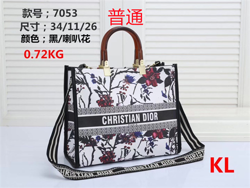 Dior bag-0023