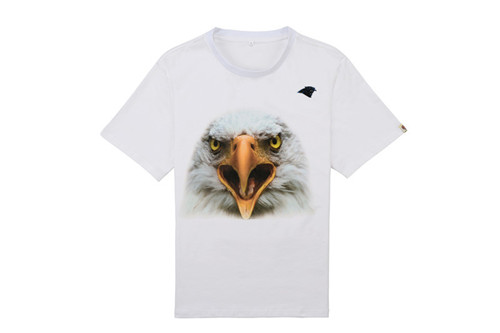 NFL T-shirt-M(10)-098