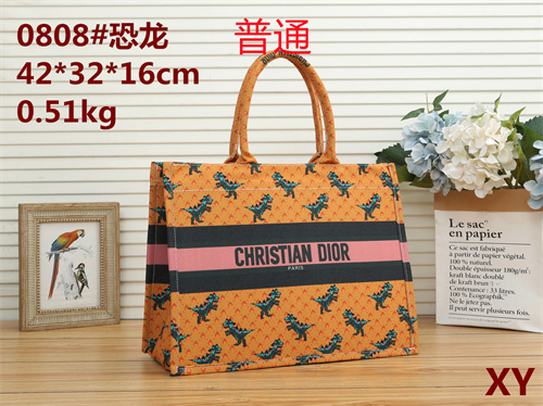 Dior bag-0026
