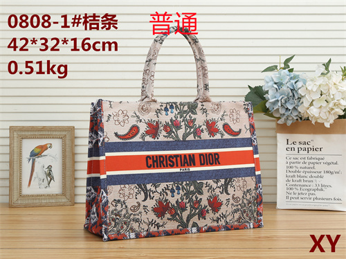 Dior bag-0031