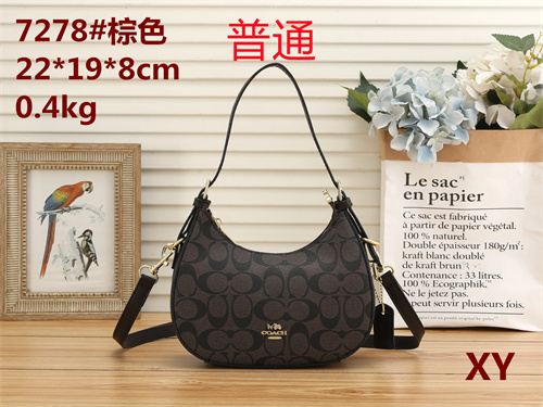 Coach small bag-0009