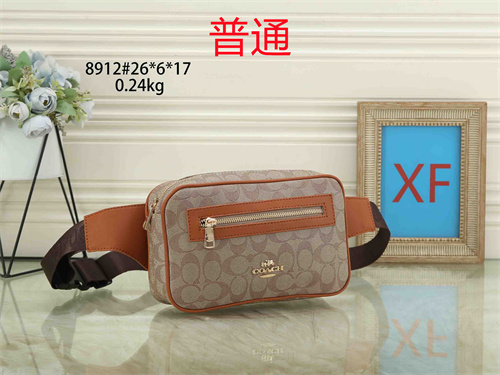 Coach small bag-0024
