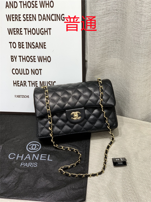 Chanel bag-0026