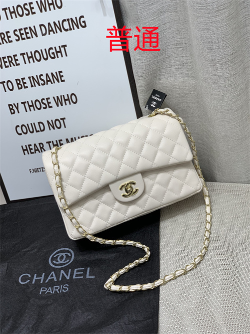 Chanel bag-0027