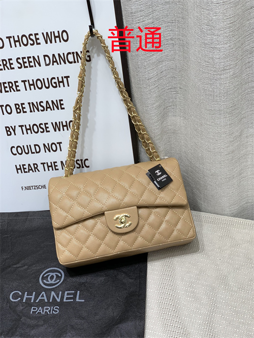 Chanel bag-0030