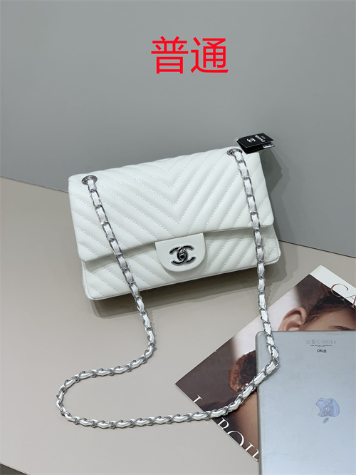 Chanel bag-0051
