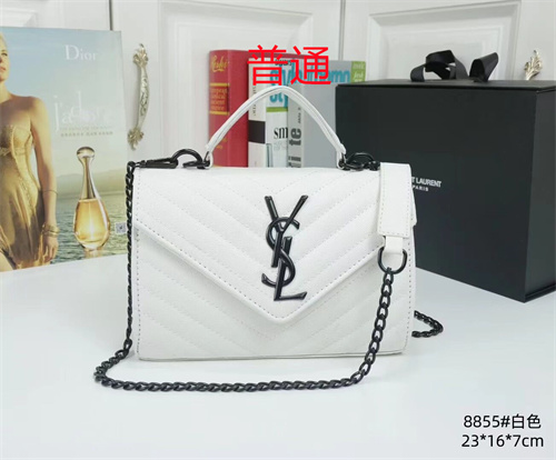 YSL small bag-0039