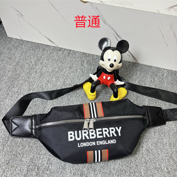 Buberry small bag-0010