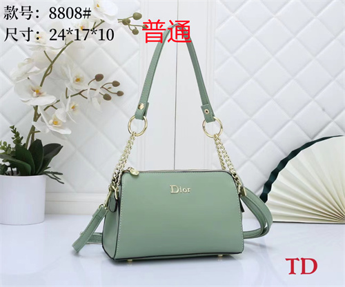 Dior small bag-0034