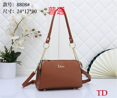 Dior small bag-0036