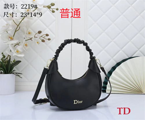 Dior small bag-0039