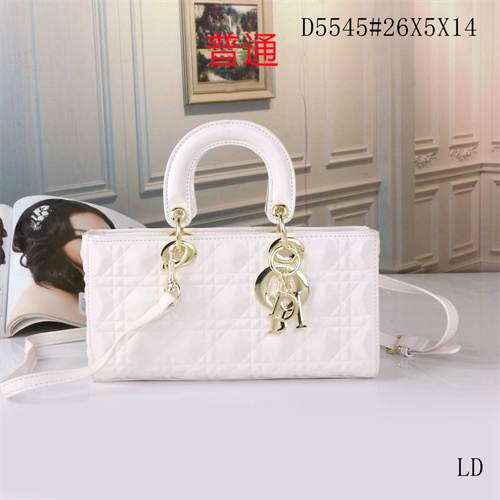 Dior small bag-0050