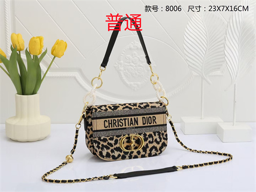 Dior small bag-0053