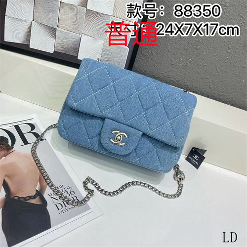 Chanel small bag-0020