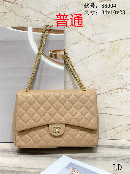 Chanel bag-0075