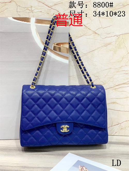 Chanel bag-0076