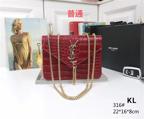 YSL small bag-0056