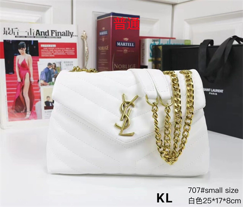 YSL small bag-0068