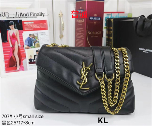 YSL small bag-0069
