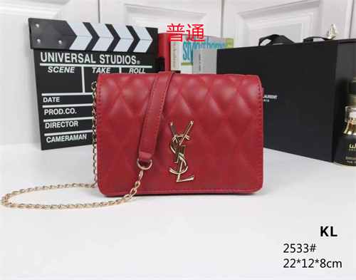 YSL small bag-0088